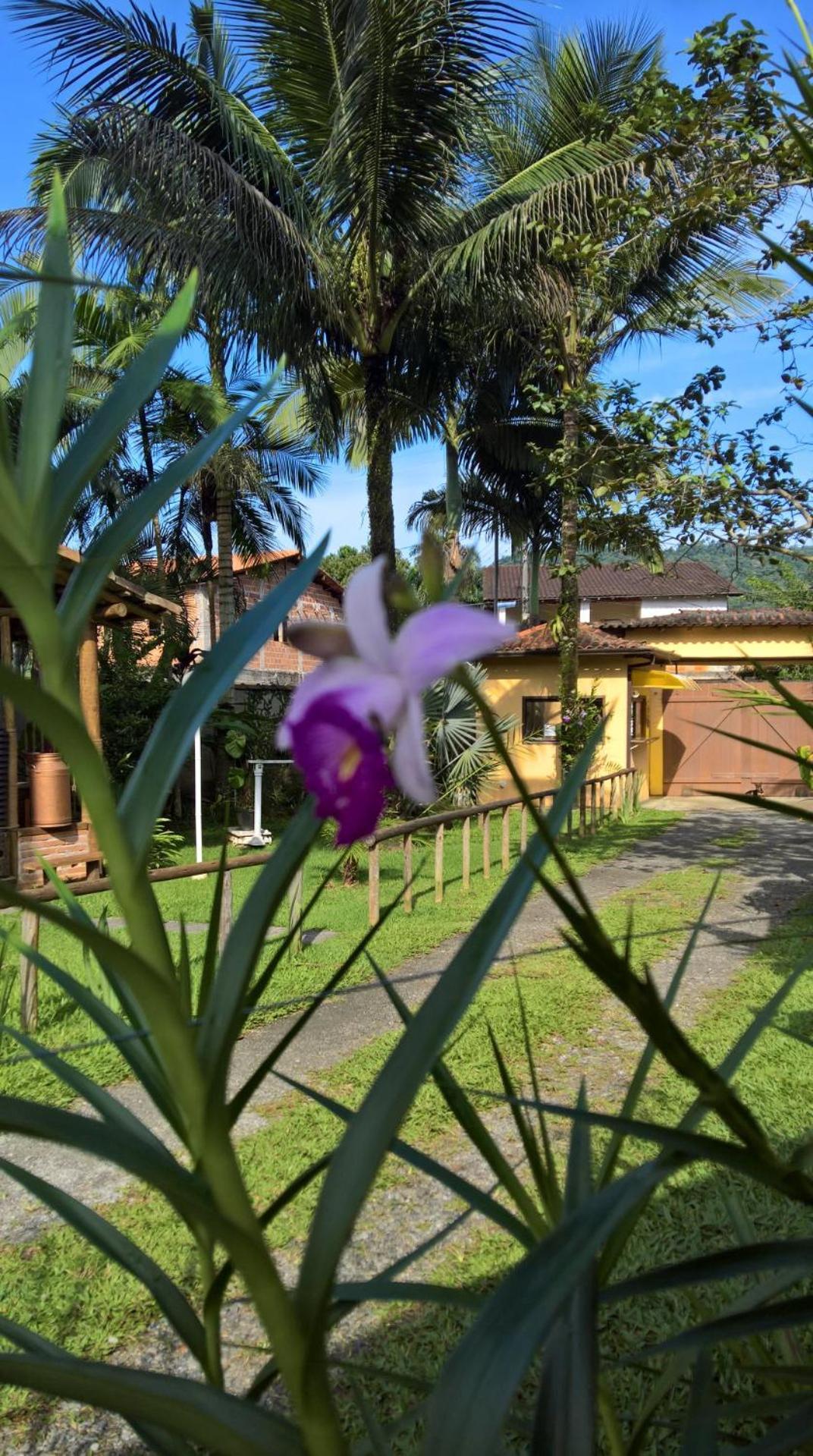 Pouso Bom Retiro Hotell Araquari Exteriör bild